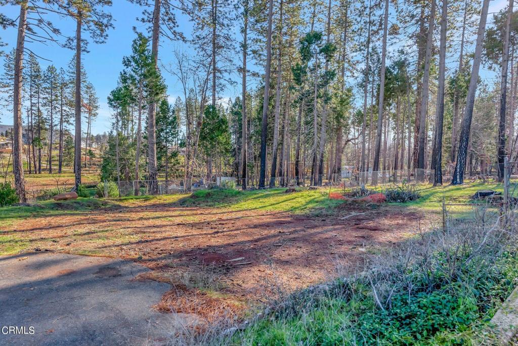 1584 Wagstaff Road