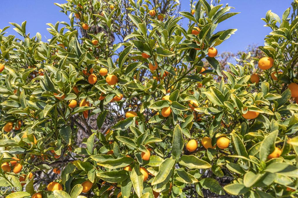 250 E Telegraph Road 83