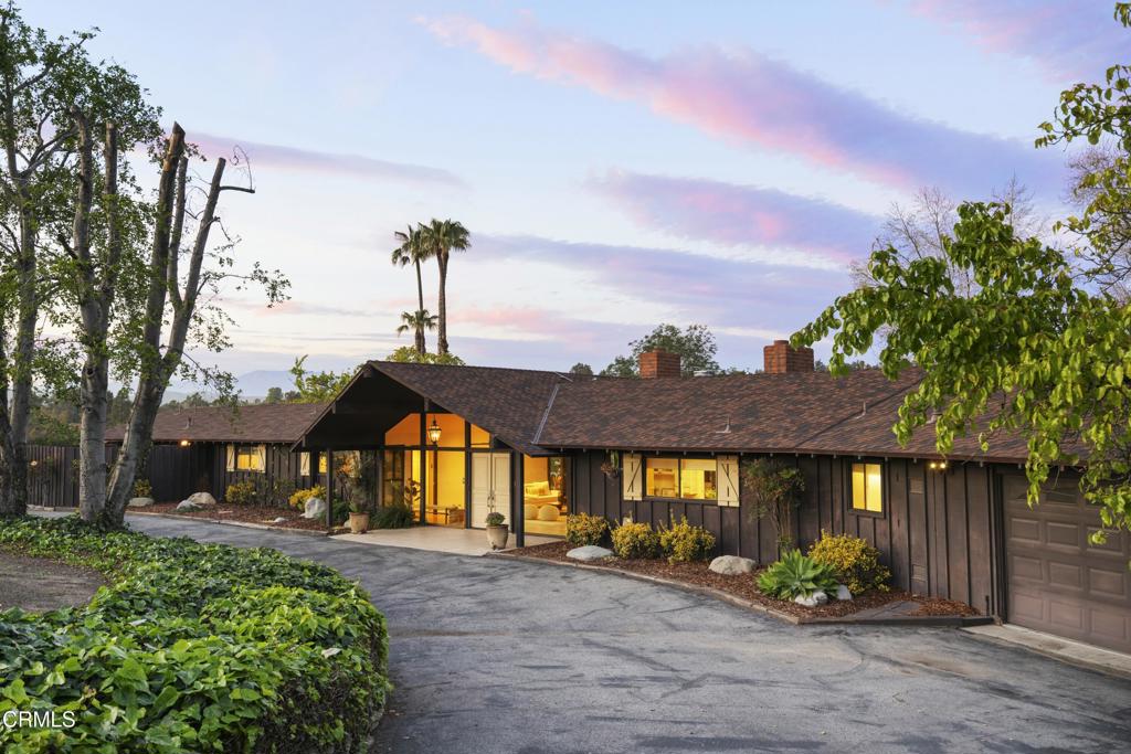 230 Avocado Place