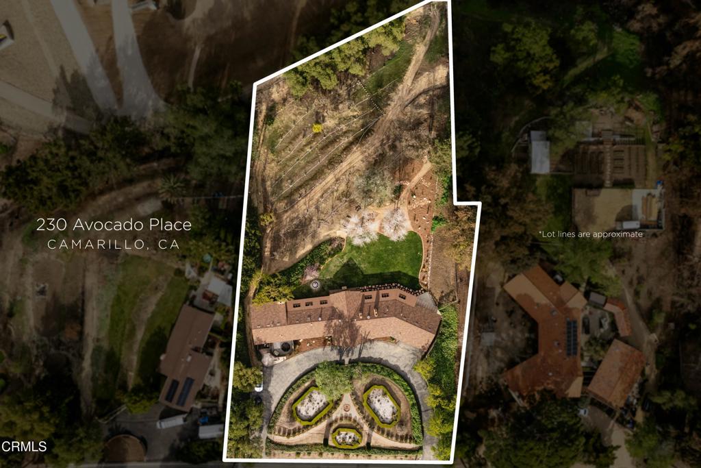 230 Avocado Place