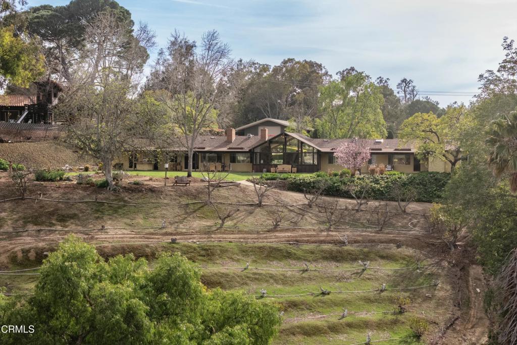 230 Avocado Place