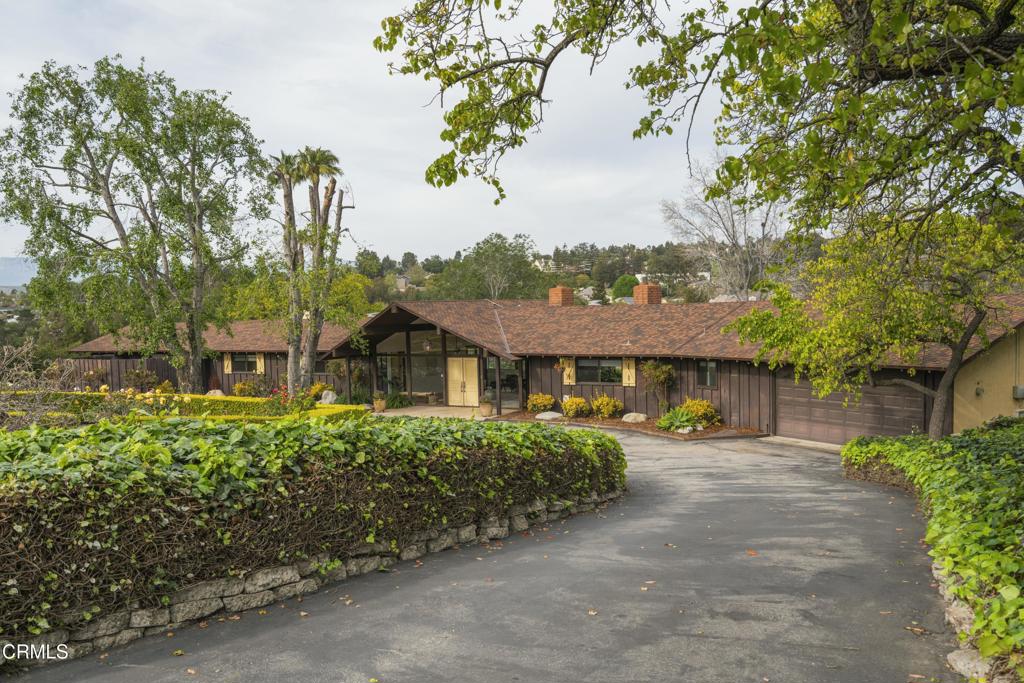 230 Avocado Place