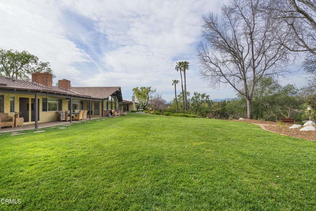 230 Avocado Place