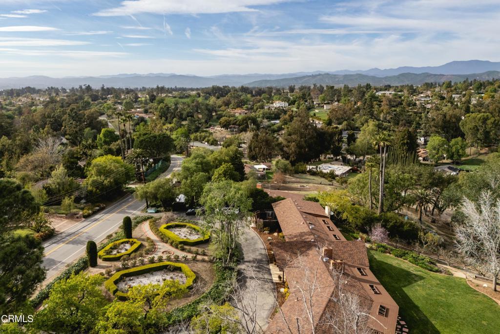 230 Avocado Place