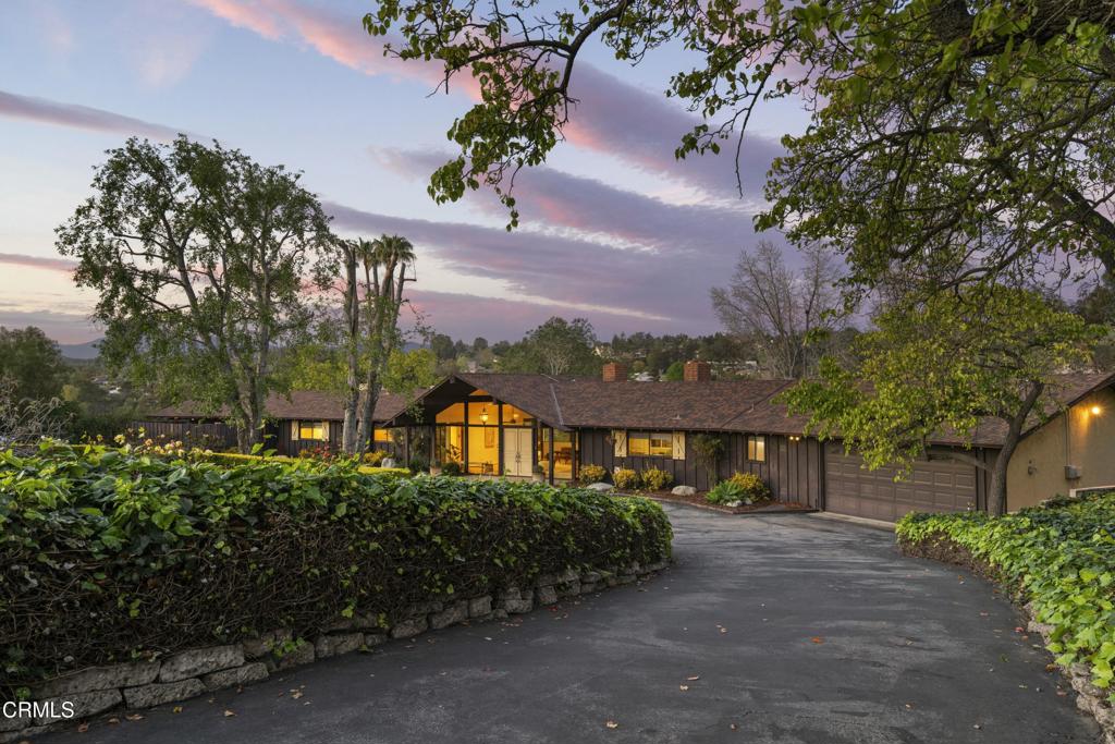 230 Avocado Place