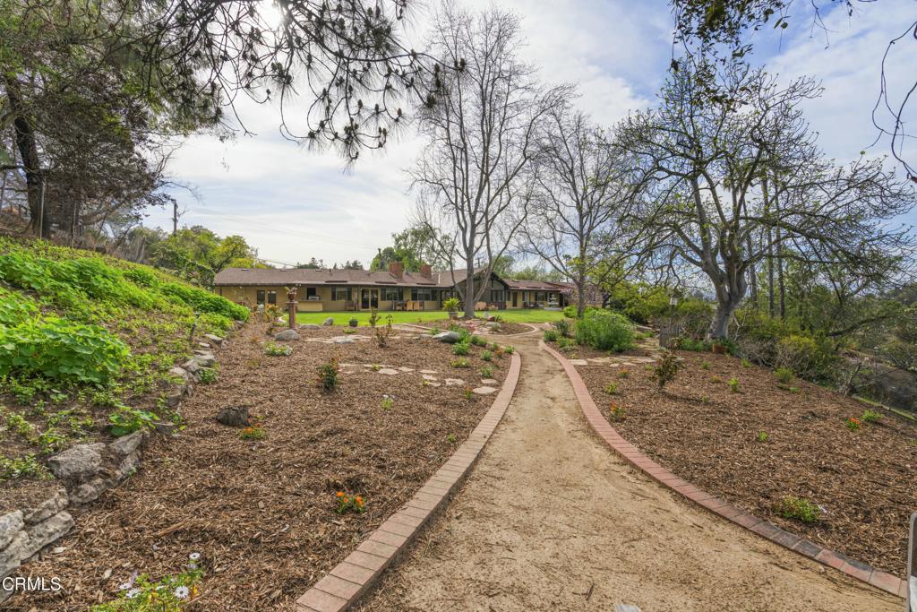 230 Avocado Place