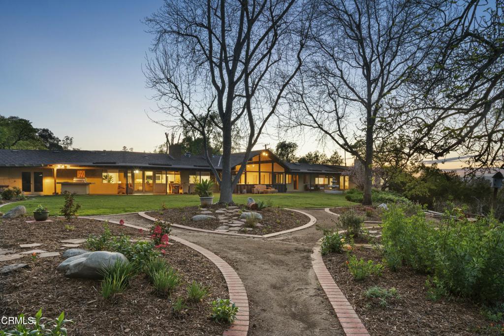 230 Avocado Place