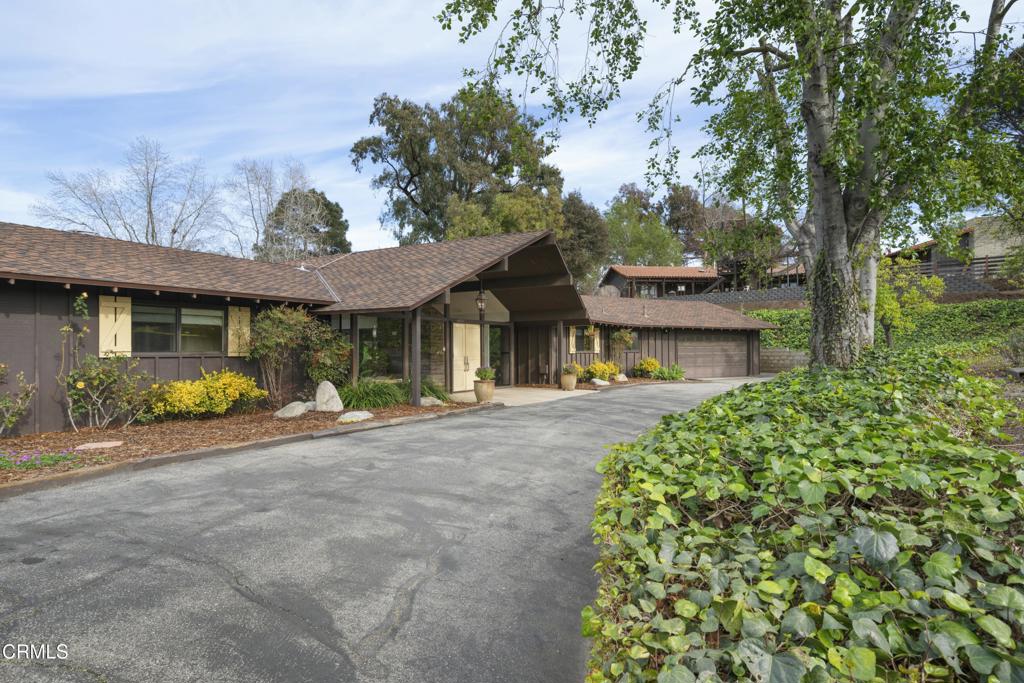230 Avocado Place