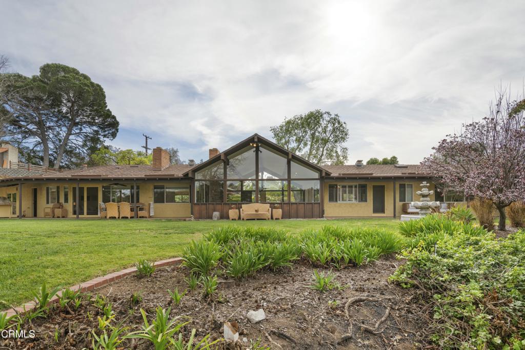 230 Avocado Place