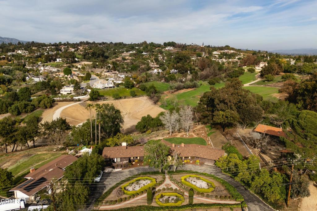 230 Avocado Place