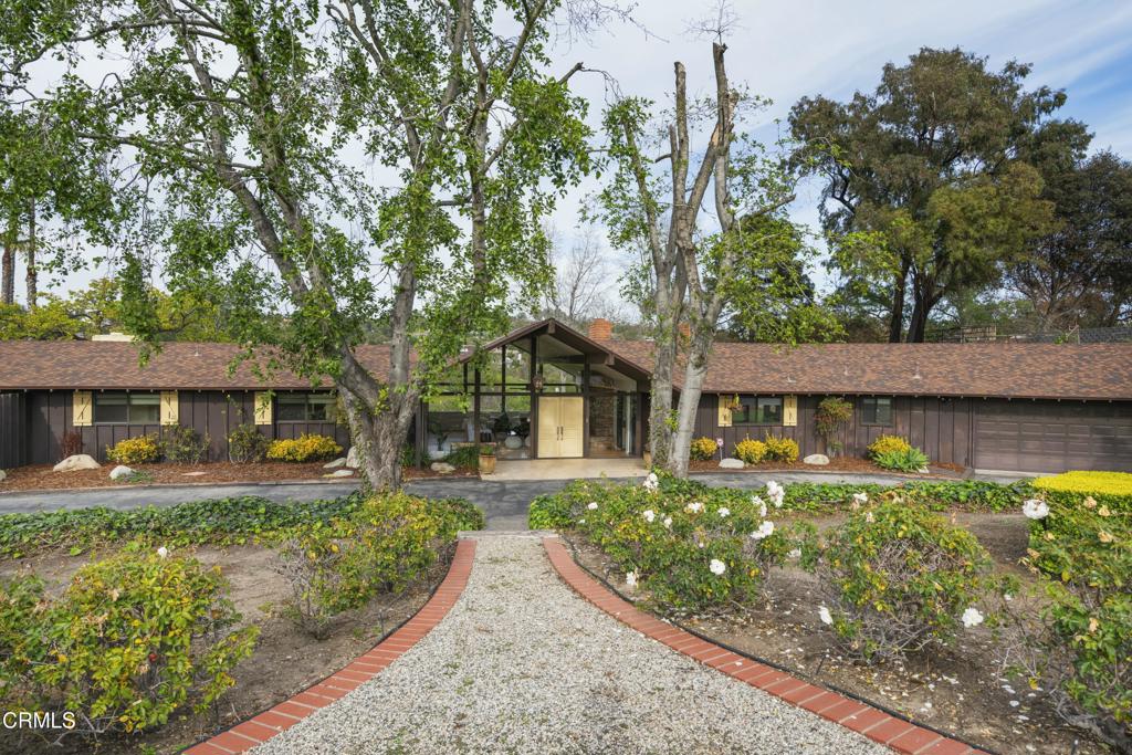 230 Avocado Place