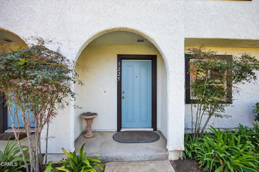 3225 Kelp Lane