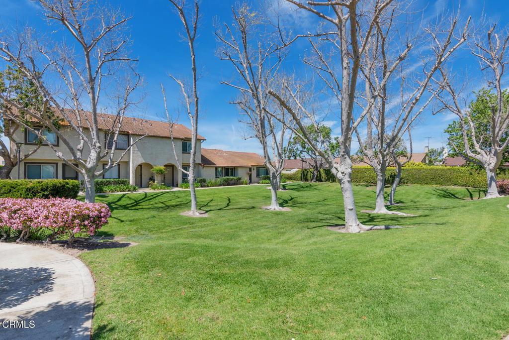 3225 Kelp Lane