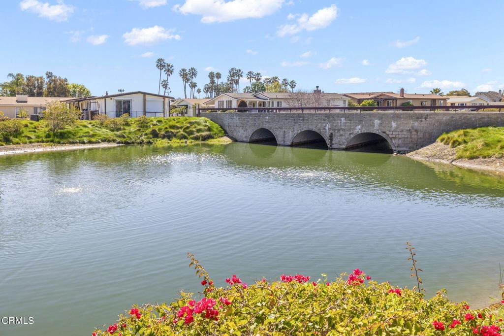 81 Poinsettia Gardens Drive