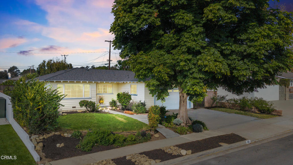 41 N Wake Forest Avenue