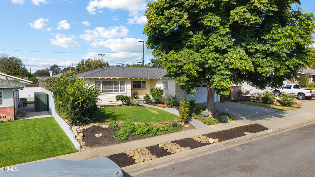 41 N Wake Forest Avenue