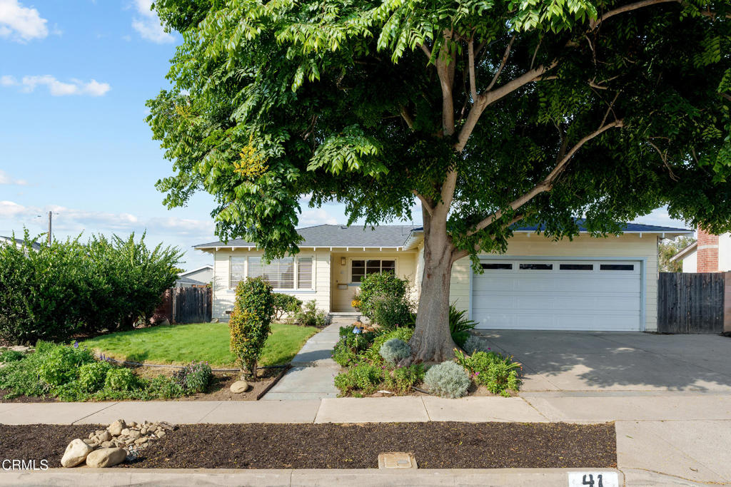 41 N Wake Forest Avenue