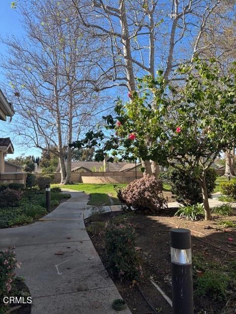 2041 Blackberry Circle