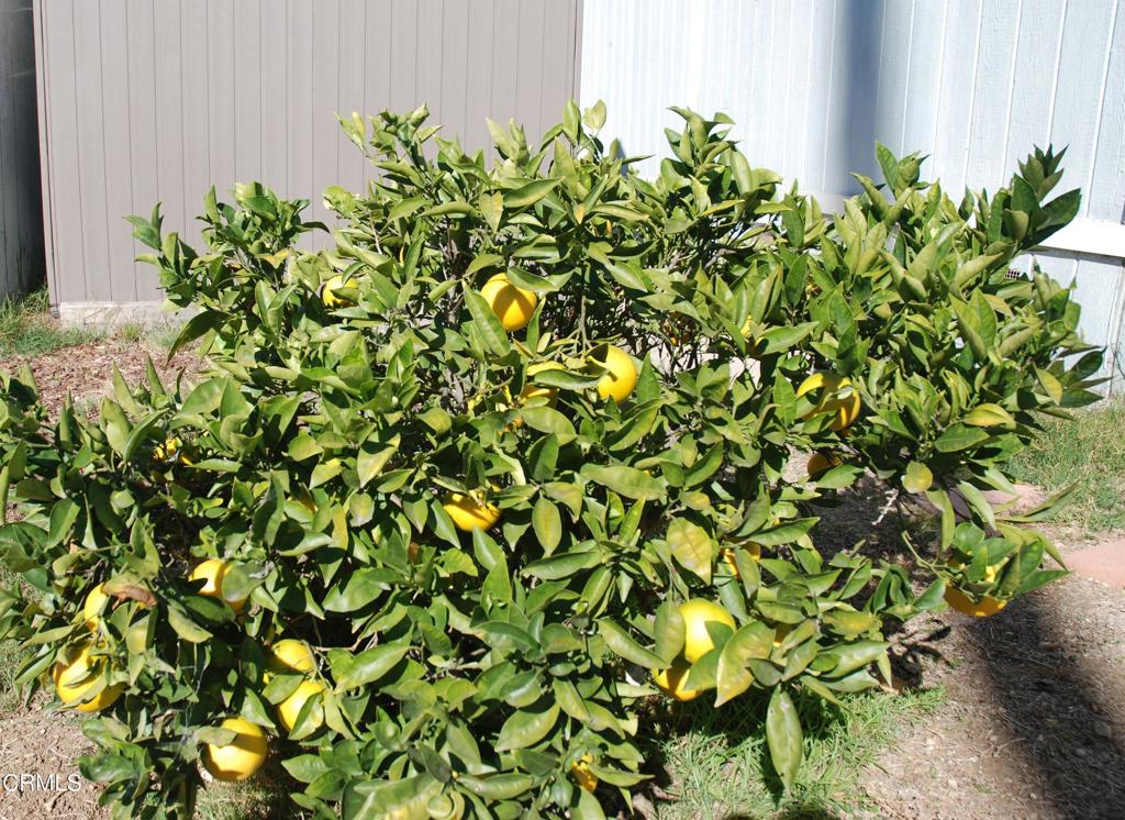 4388 E Central Avenue 63