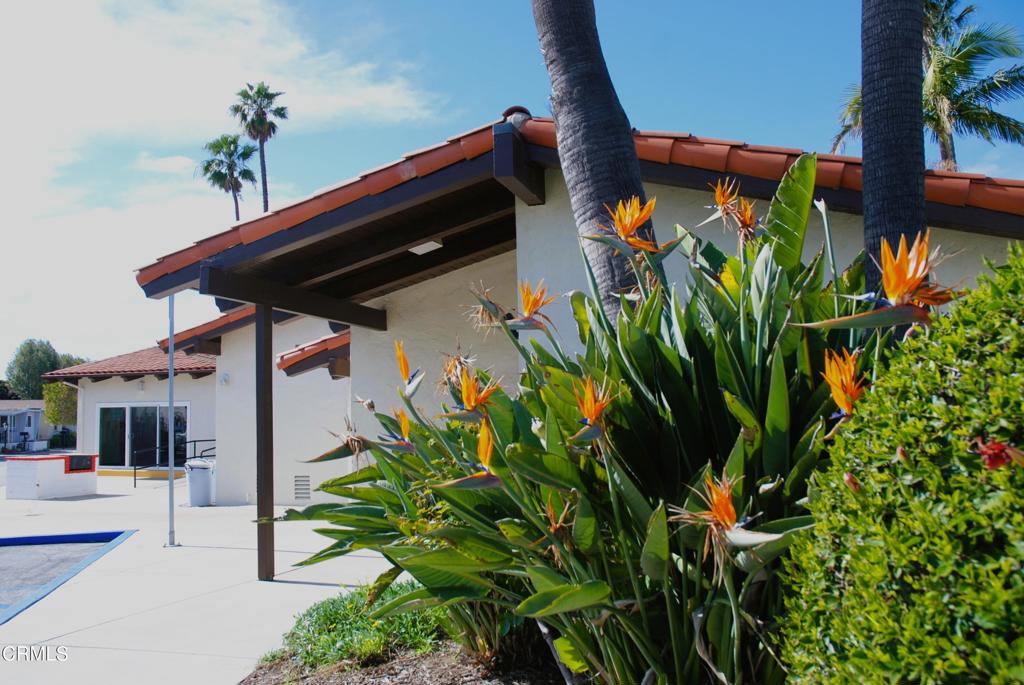 4388 E Central Avenue 63