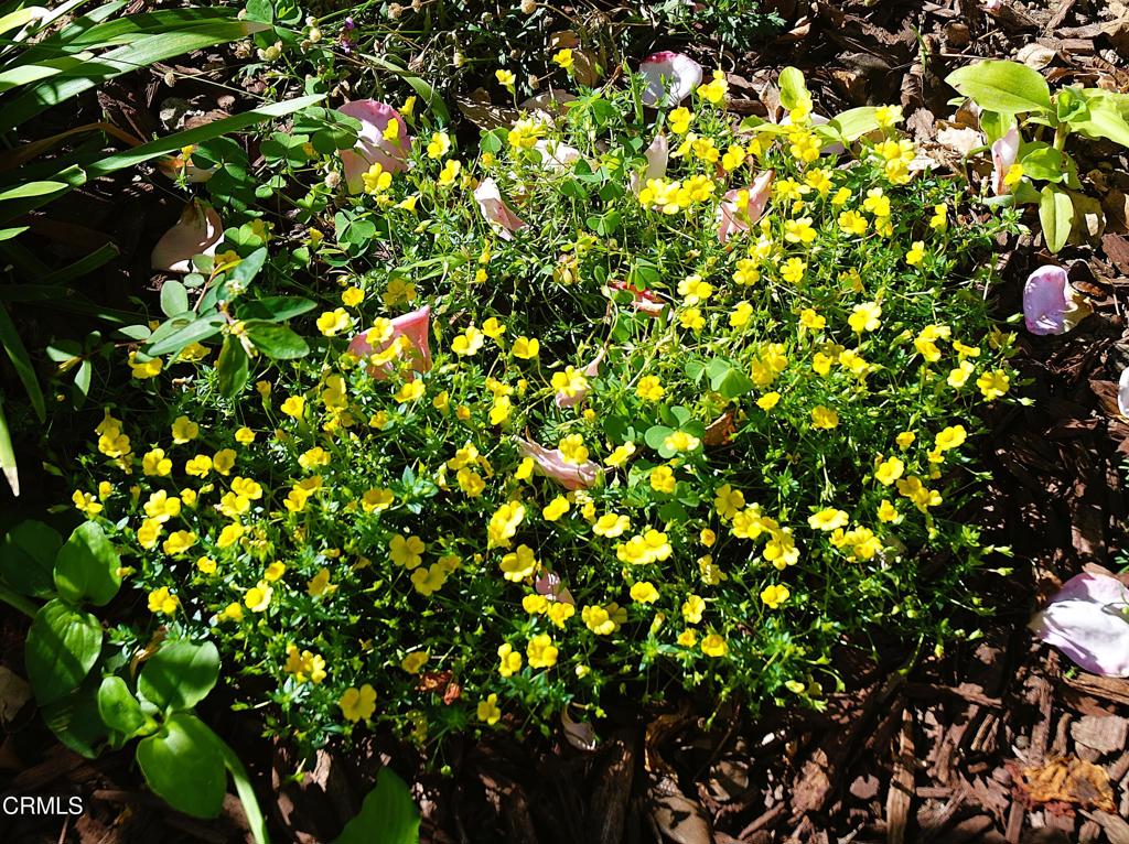 4388 E Central Avenue 63