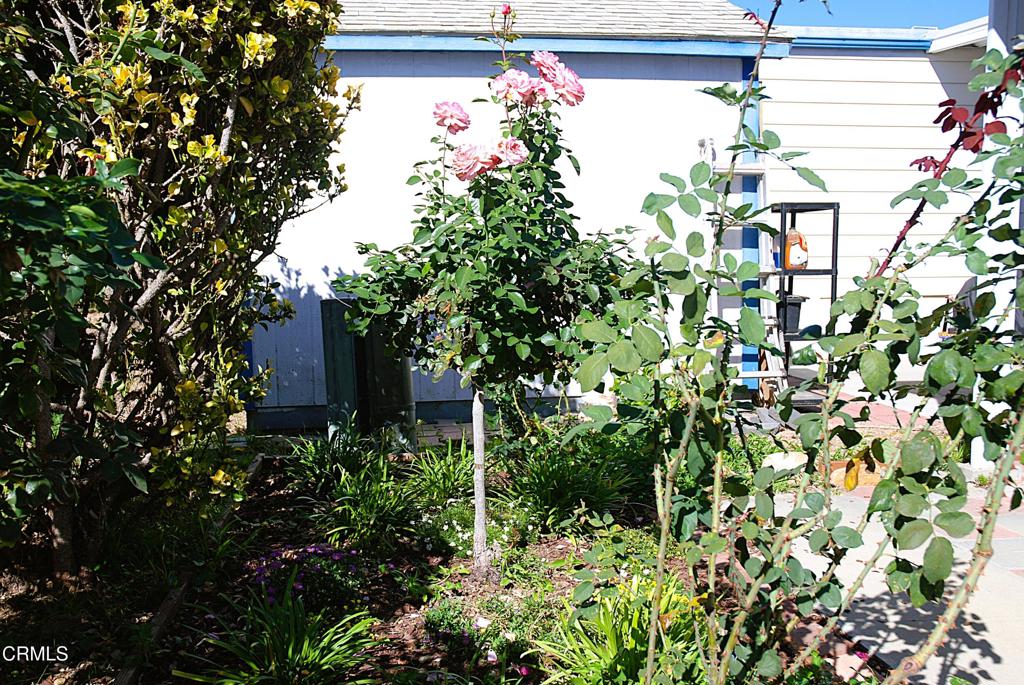 4388 E Central Avenue 63