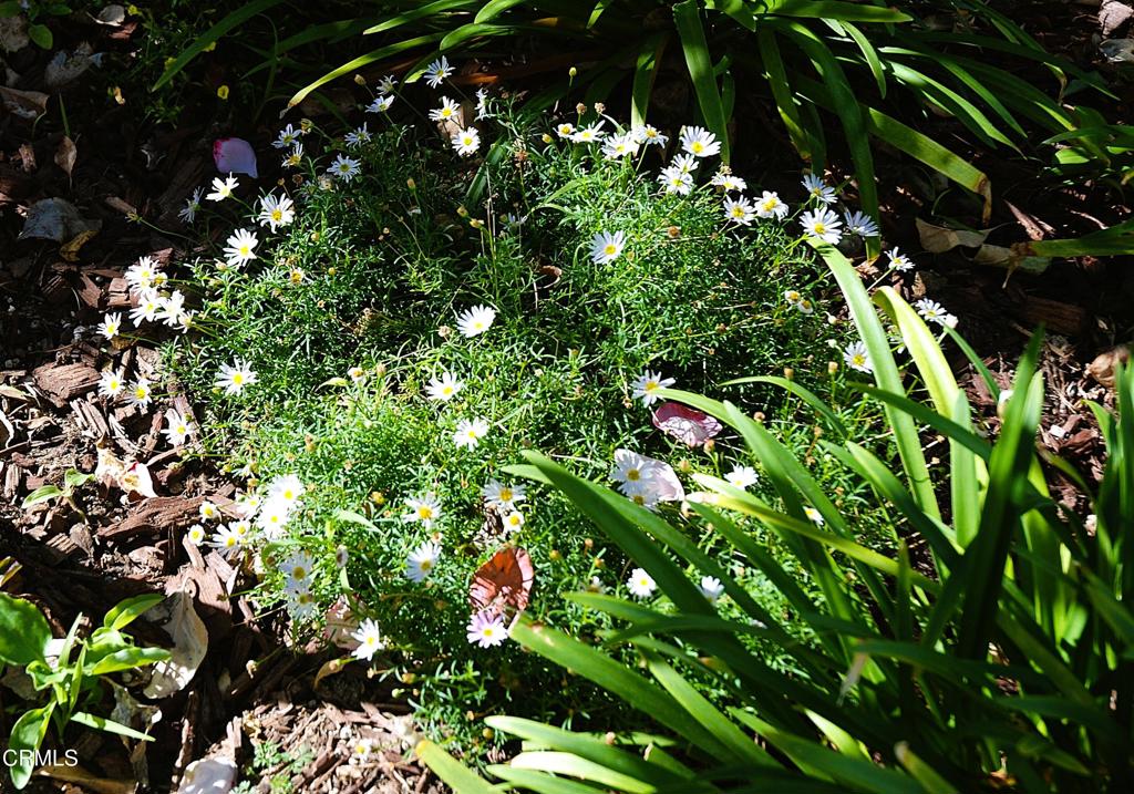 4388 E Central Avenue 63