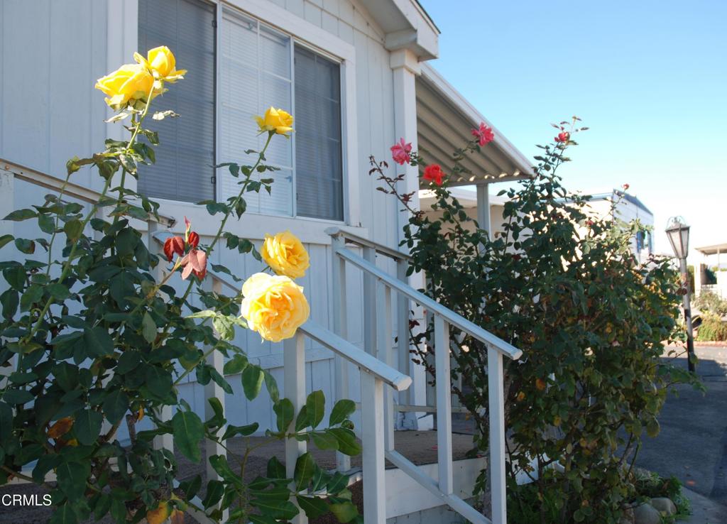 4388 E Central Avenue 63