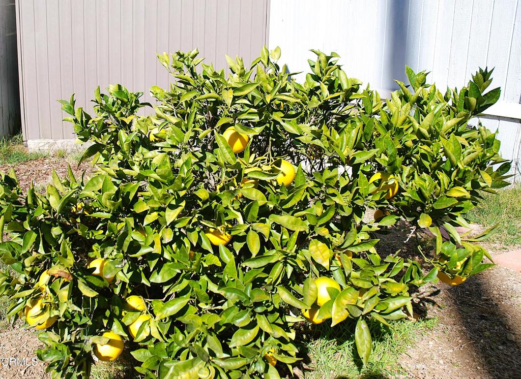 4388 E Central Avenue 63