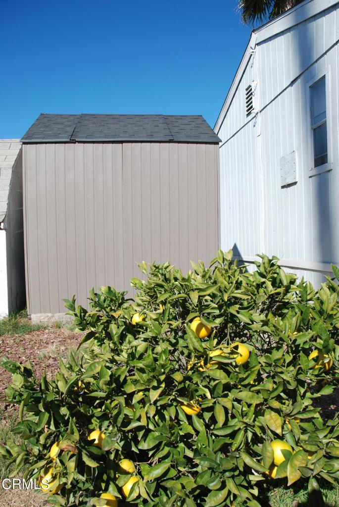 4388 E Central Avenue 63