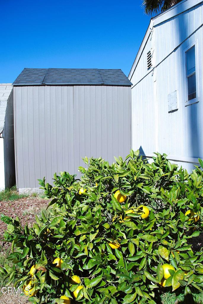 4388 E Central Avenue 63