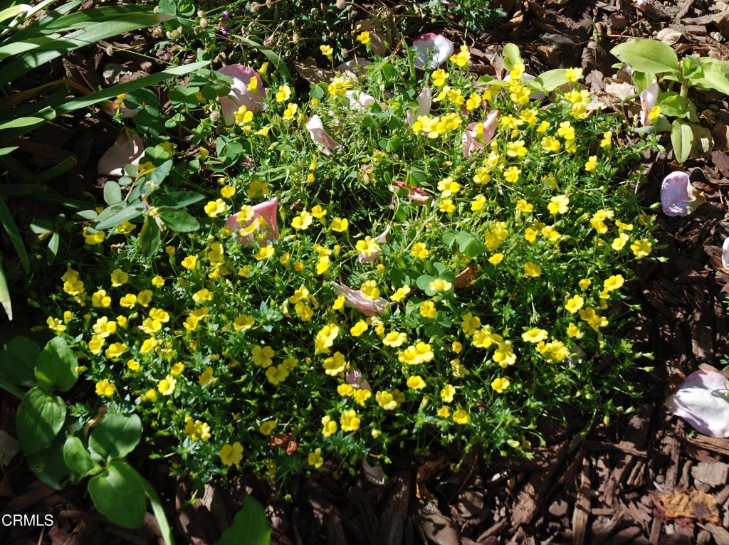 4388 E Central Avenue 63