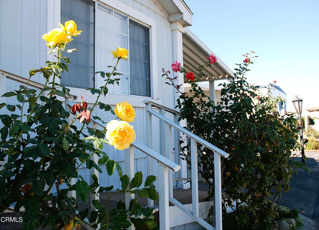 4388 E Central Avenue 63