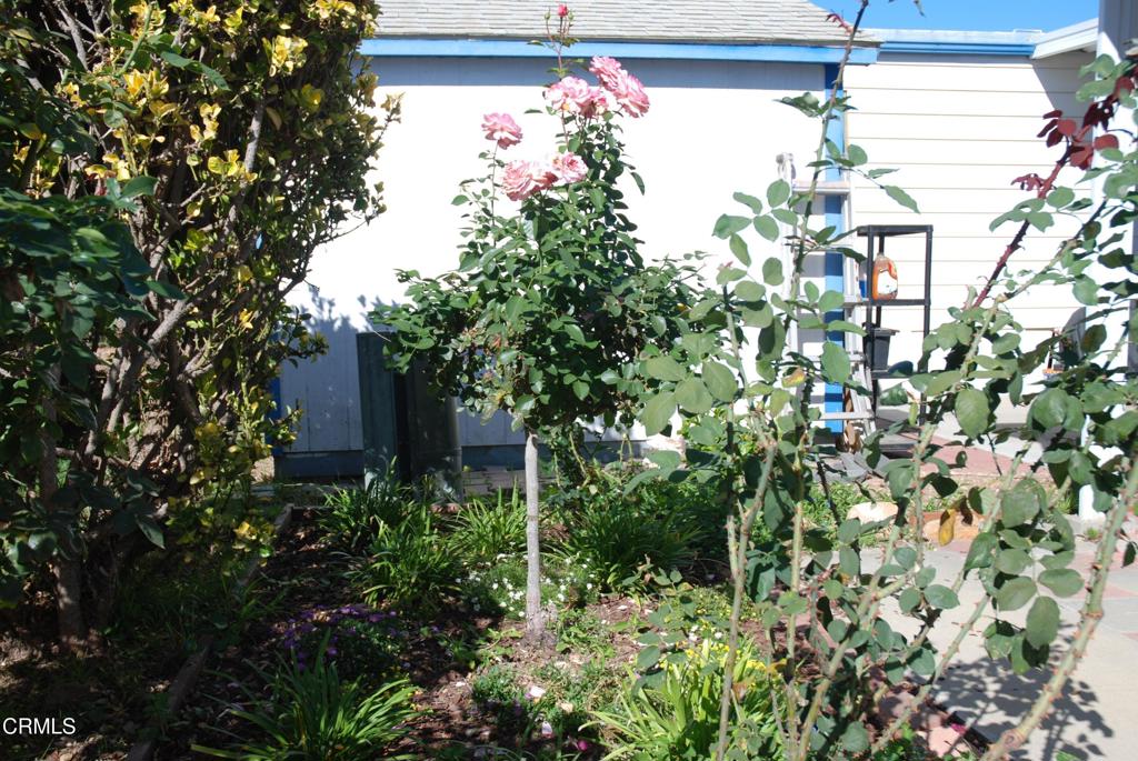 4388 E Central Avenue 63