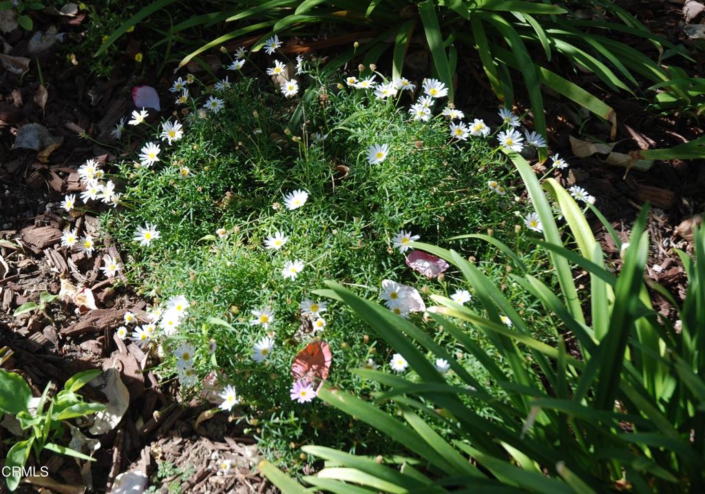 4388 E Central Avenue 63