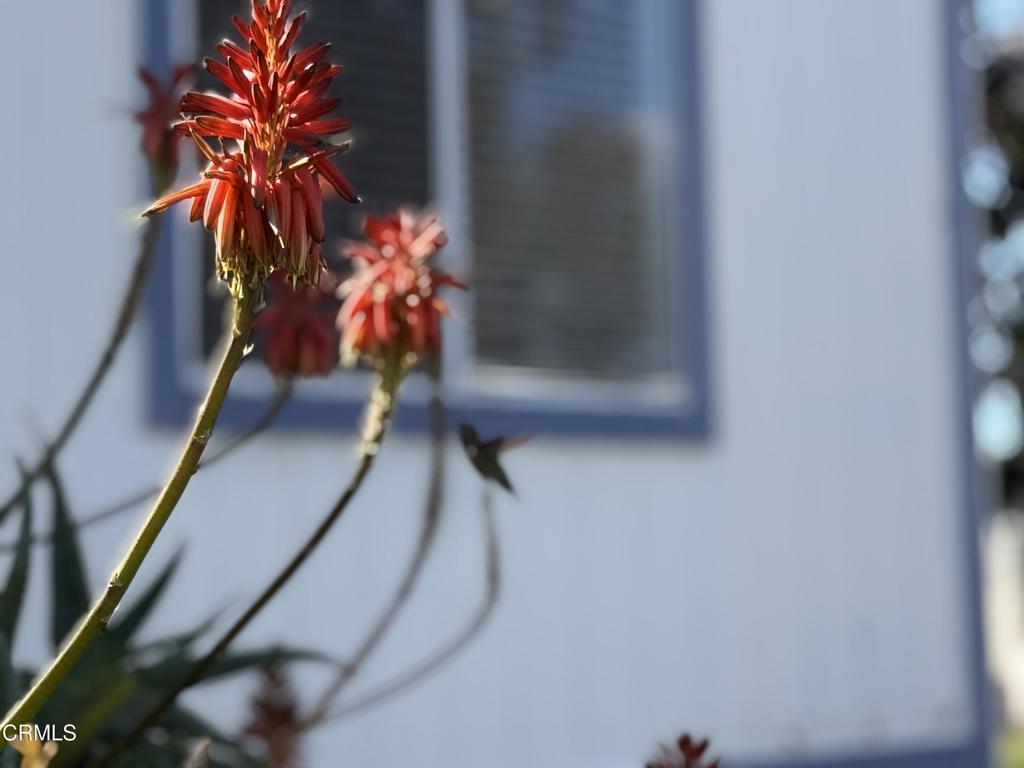 4499 Copland Drive 51