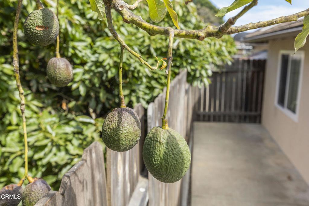 9417 -9419 Petit Court