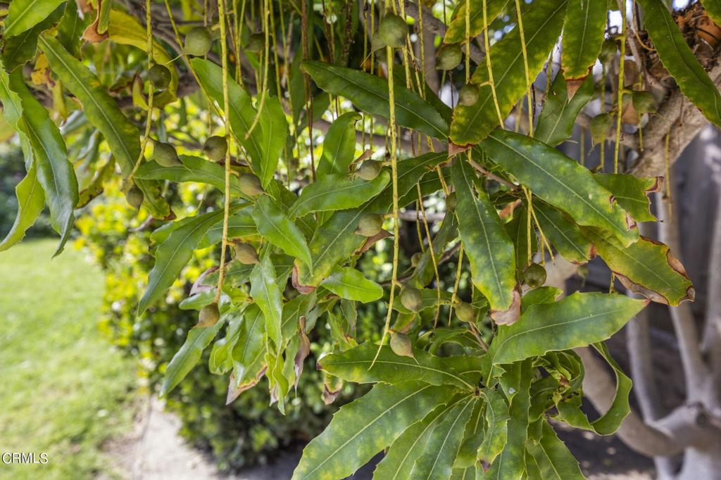 9417 -9419 Petit Court