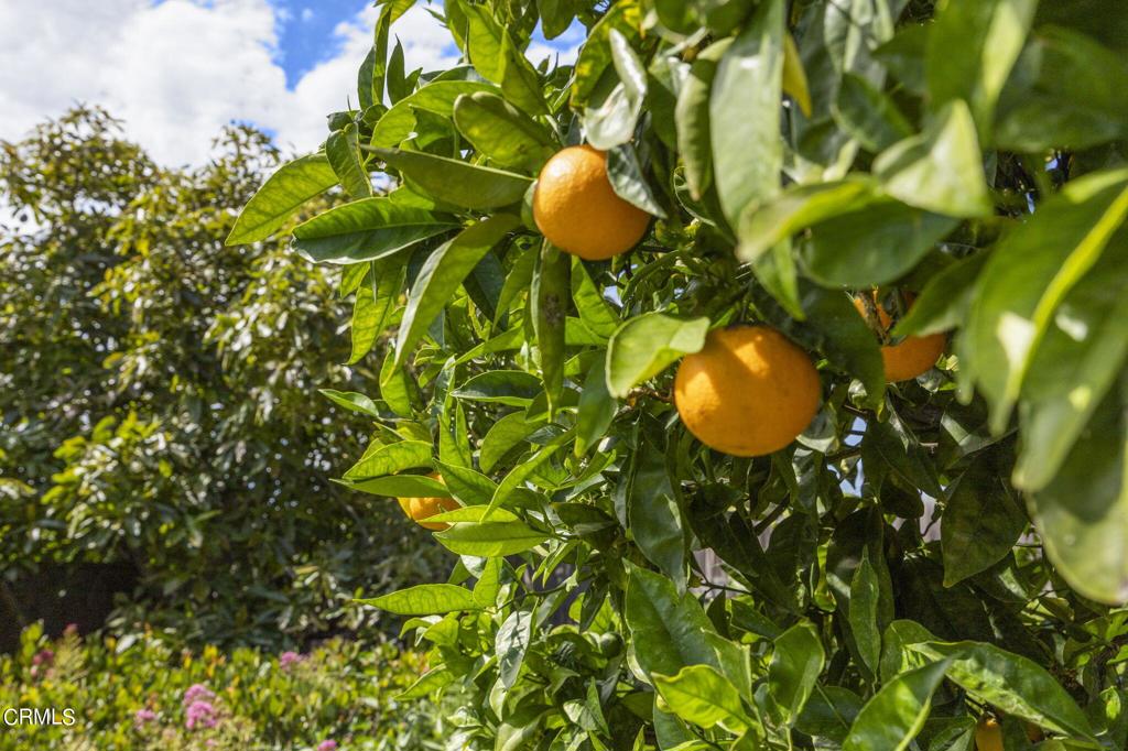 9417 -9419 Petit Court