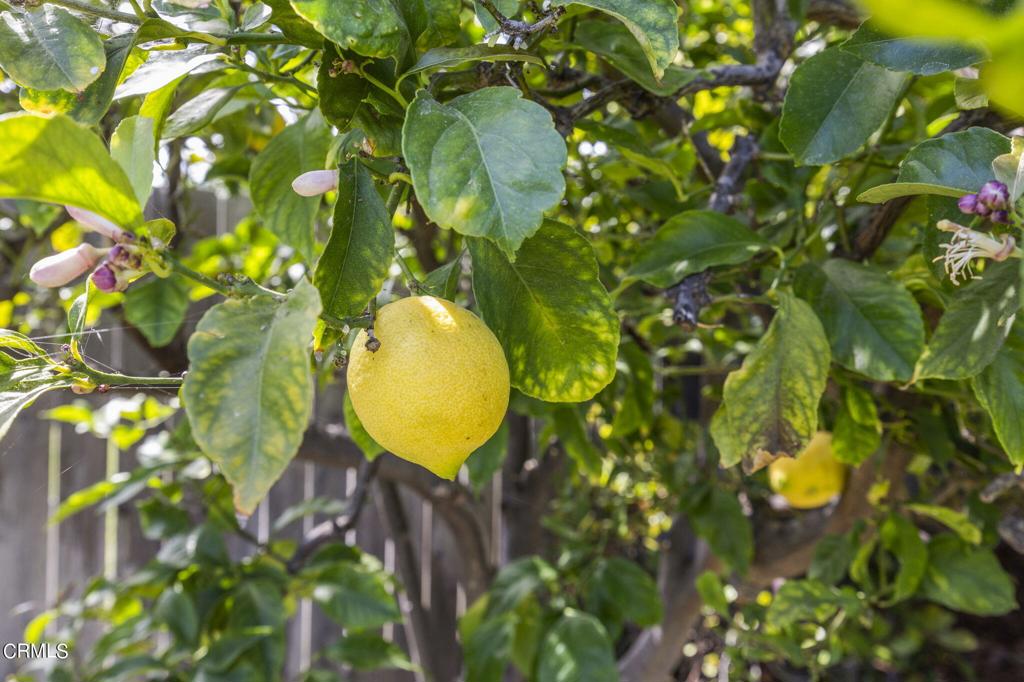 9417 -9419 Petit Court