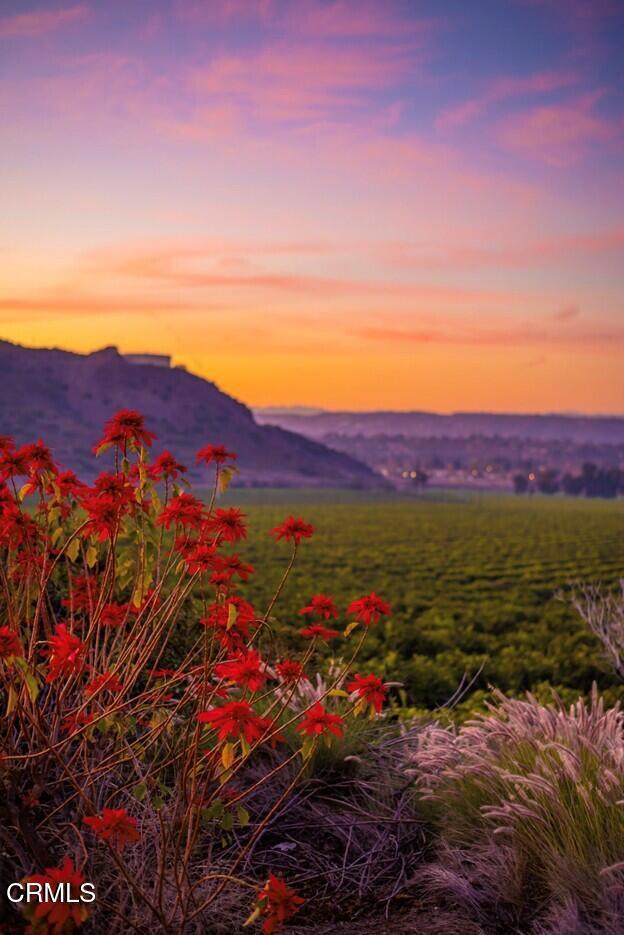 836 Vista Arriago