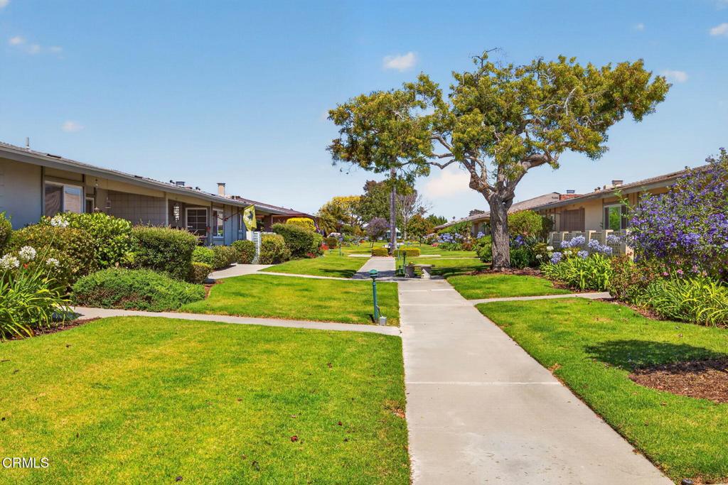 213 E Elfin Green