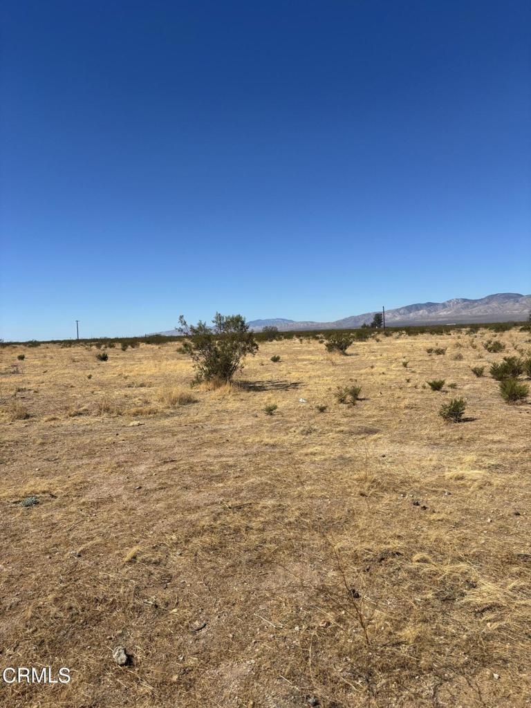 Dry vacant land with sparse shrubs and distant mountains beneath a clear blue sky.