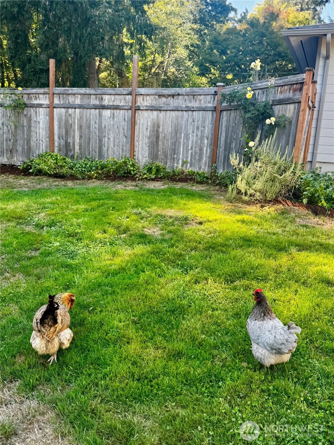 10414 SW 110th Street