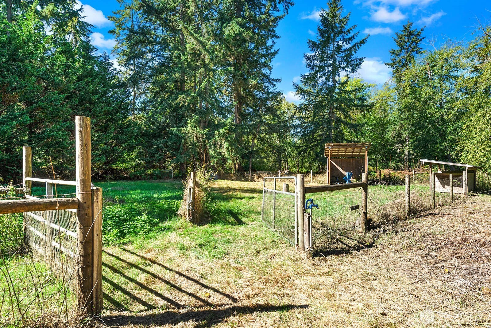 Fenced grassy enclosure with gates and small covered structures beneath tall evergreen trees.