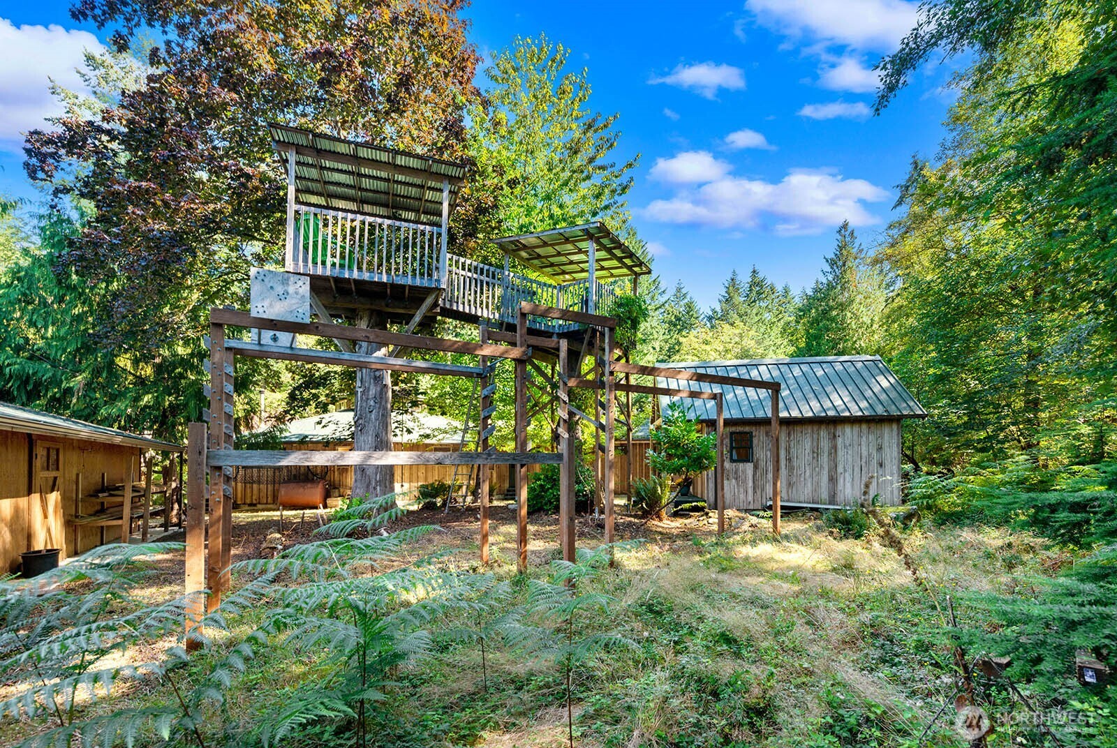 Wooded backyard with a roofed wooden play structure and rustic sheds among ferns.