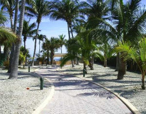 1620 E Terra Mar Drive