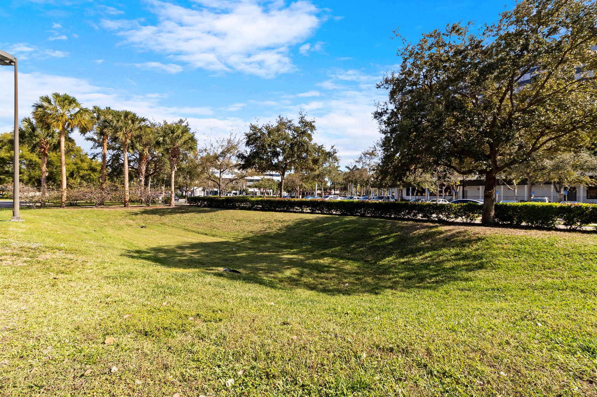 2421 NE 65th Street 209