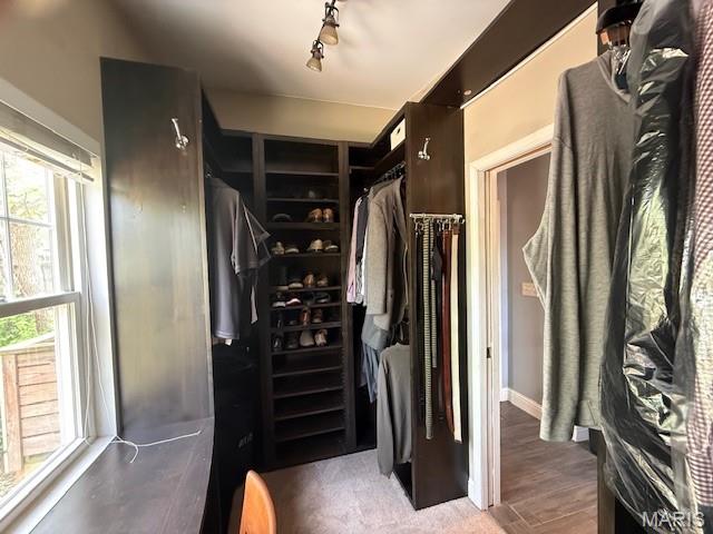 7339 Arlington Drive