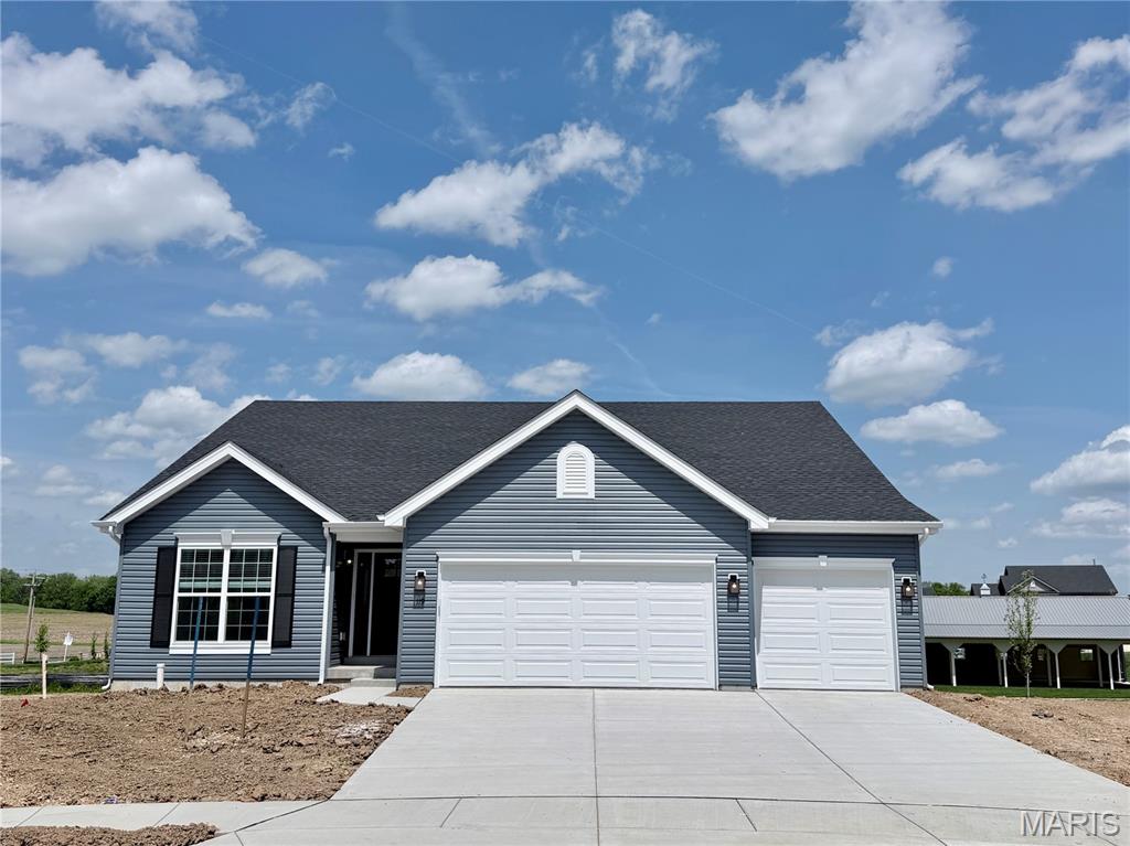 119 Tail Shot Court